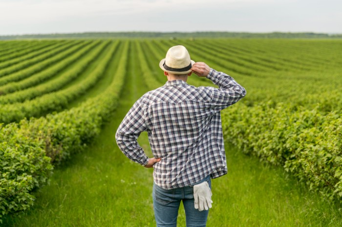 Farm Insurance